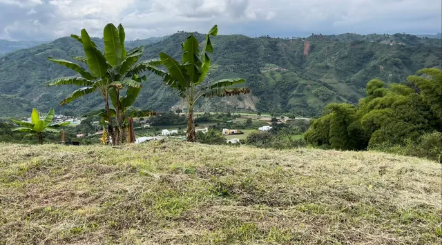 Se Vende Lote Manizales, el agrado - Foto 7