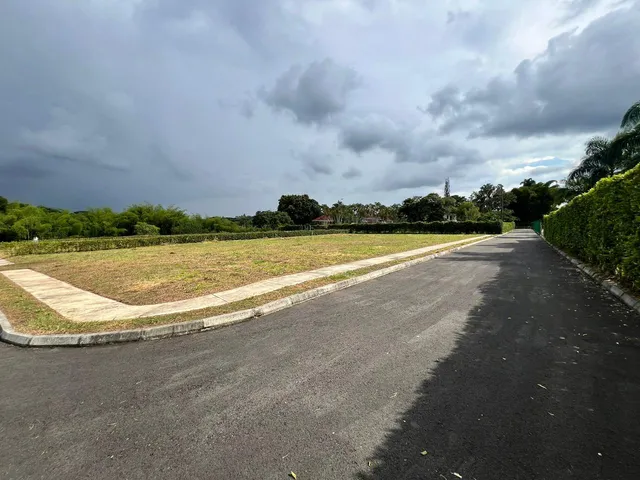 Vendo Lotes Pereira Cerritos - Foto 6