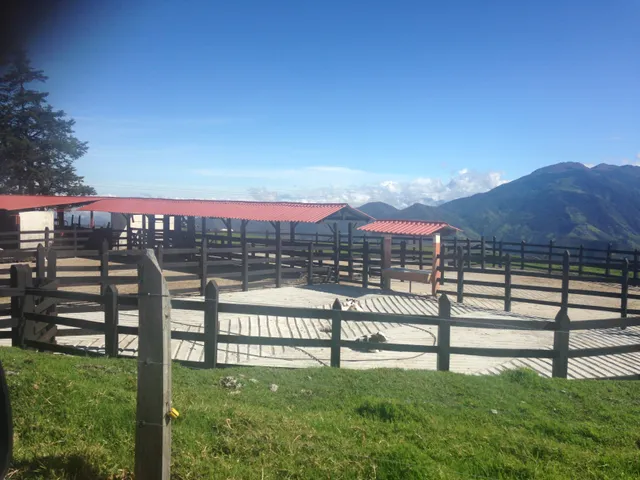 Se vende finca agrícola ganadera, Valle Del Cauca. Barragán - Foto 14