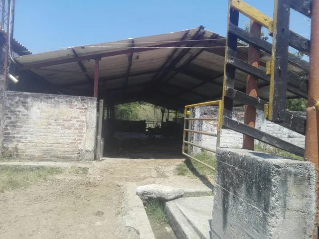 Se Vende Finca Manizales,  Vereda Lisboa - Foto 5