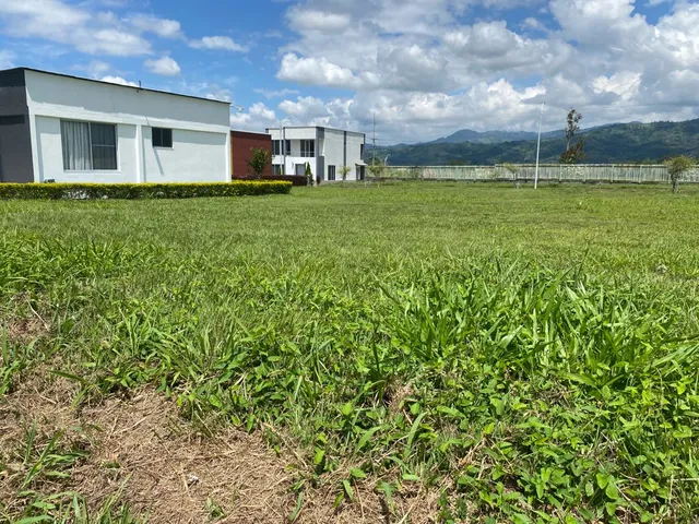 SE VENDE LOTE, VITERBO, CALDAS - Foto 11