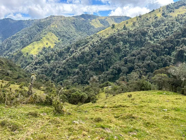 Se Vende Finca en Letras Caldas - Foto 9