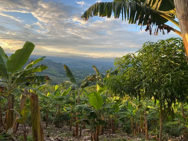 Se Vende Lote Vereda La Paloma, Palestina - Foto 19