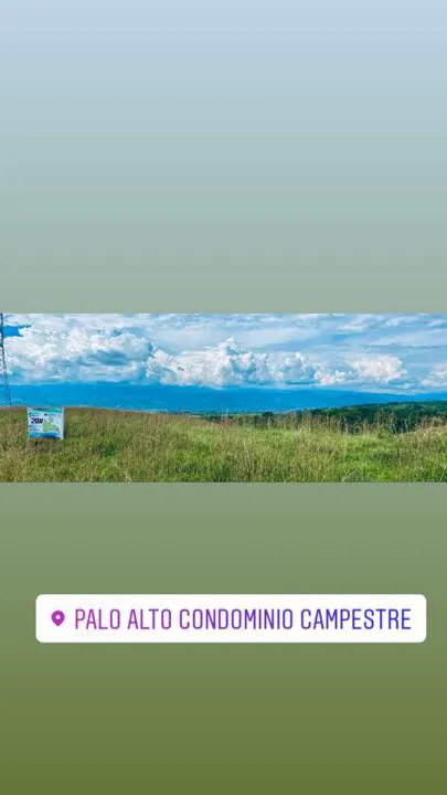 Se Venden Lote Campestre Cerritos, Pereira - Foto 5
