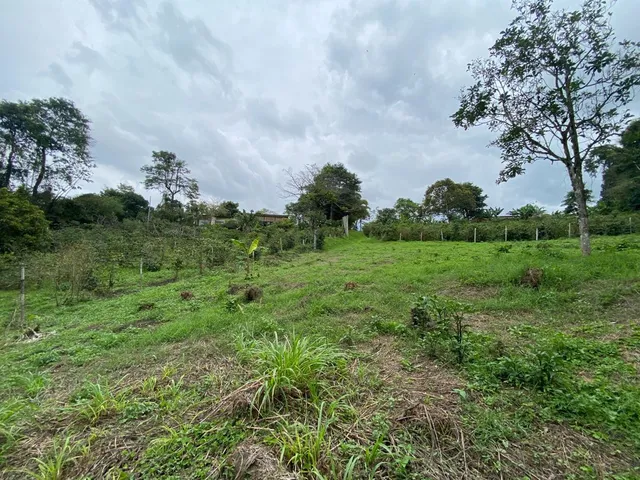 Se vende Lote Campestre, Pereira, Mundo Nuevo - Foto 2