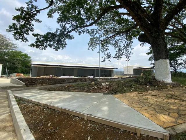 Se vende Lote, Viterbo, Caldas - Foto 11