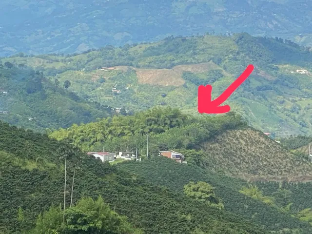 Se Vende Lote Vereda La Paloma, Palestina - Foto 16