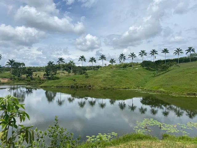 Se vende lote campestre, Pereira,Cerritos - Foto 2