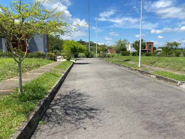 SE VENDE LOTE, VITERBO, CALDAS - Foto 12