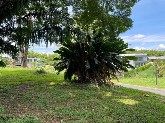 SE VENDE LOTE PEREIRA CERRITOS MALABAR - Foto 26