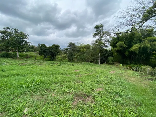Se vende Lote Campestre, Pereira, Mundo Nuevo - Foto 18