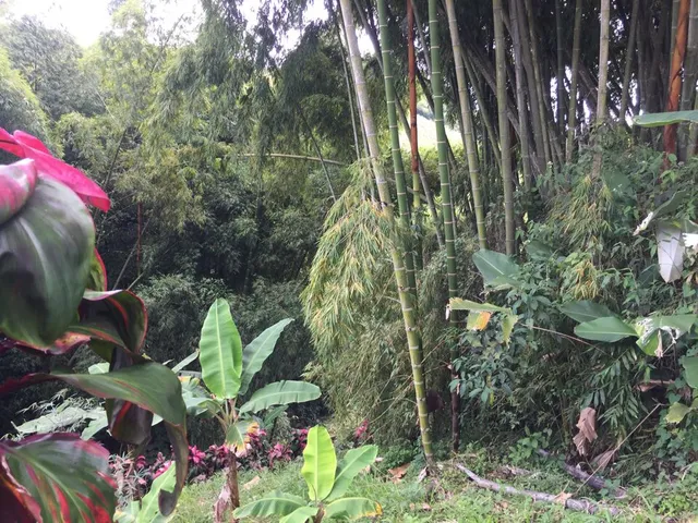 SE VENDE LOTE, PEREIRA, VIA CONDINA - Foto 13