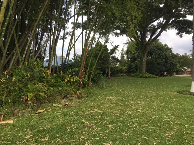 SE VENDE LOTE, PEREIRA, VIA CONDINA - Foto 5
