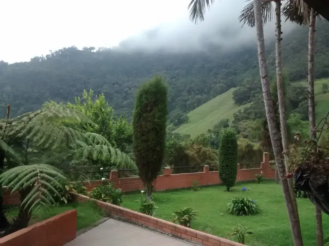 Se Vende Finca en Villamaría, Parque los Nevados. - Foto 4