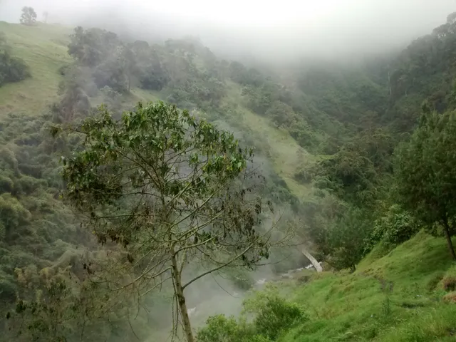Se Vende Finca en Villamaría, Parque los Nevados. - Foto 17