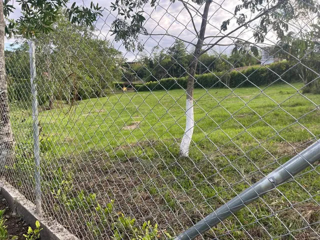 SE VENDE LOTE CAMPESTRE, VITERBO, CALDAS - Foto 9