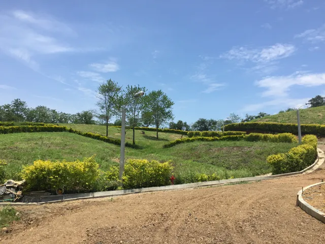 Se vende Lote en Viterbo, Caldas