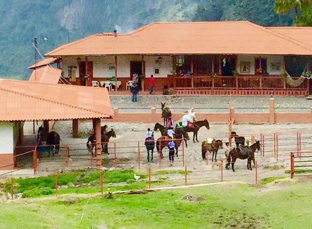 Se Vende Finca en Villamaría, Parque los Nevados. - Foto 10