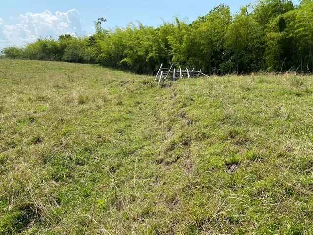 Se vende Lote, campestre, Pereira, Cerritos. - Foto 11