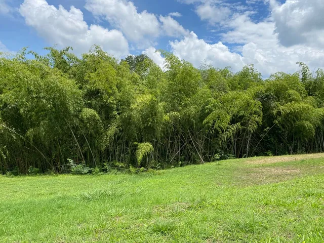 Se vende lotes, Pereira, Cerritos, Malabar - Foto 8
