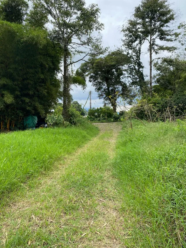 Se vende Lote Campestre, Pereira, Mundo Nuevo - Foto 7