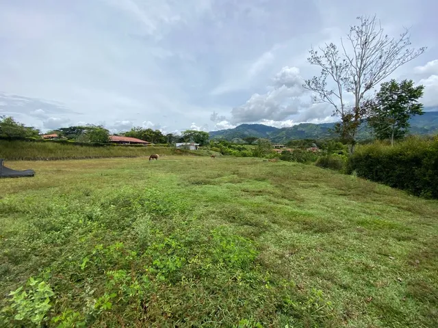 Se vende lote Viterbo Caldas - Foto 3