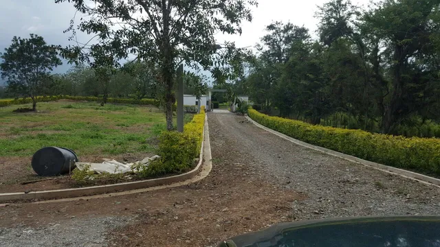 Se vende Lote en Viterbo, Caldas - Foto 3
