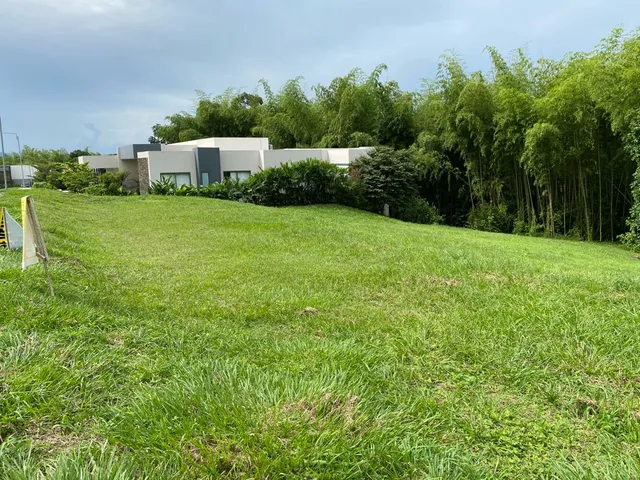 SE VENDE LOTE CAMPESTRE, PEREIRA, CERRITOS MALABAR - Foto 12
