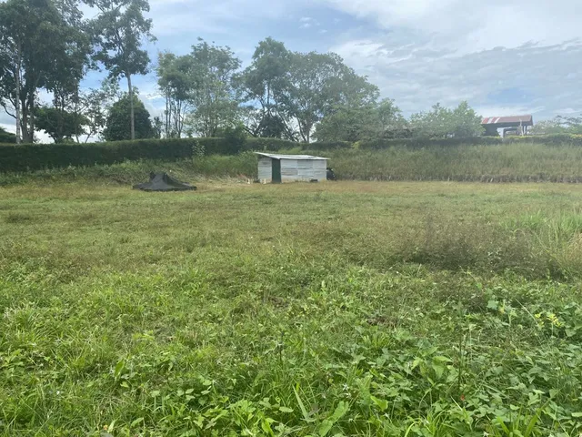 Se vende lote Viterbo Caldas - Foto 11