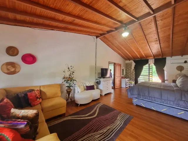 SE VENDE CASA CAMPESTRE, VITERBO, CALDAS - Foto 4