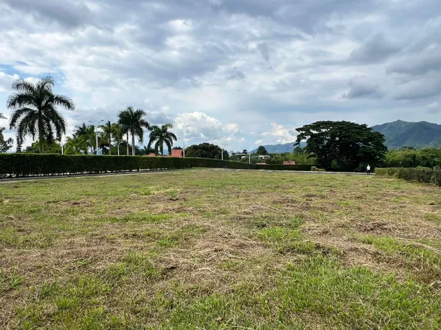 Vendo Lotes Pereira Cerritos - Foto 3