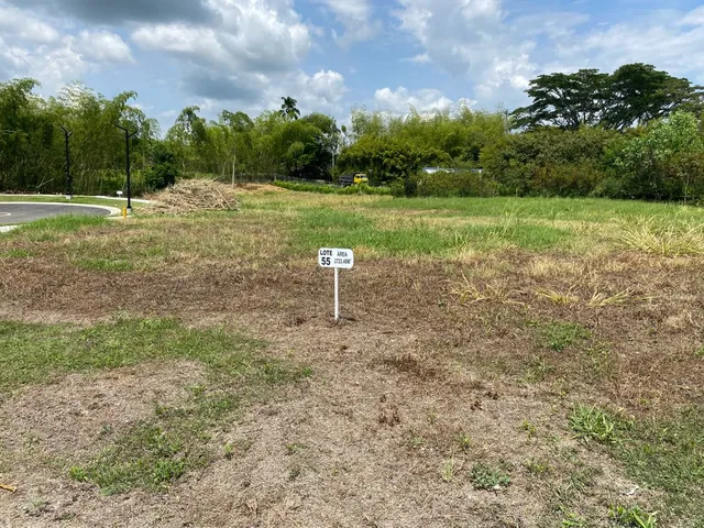 Se vende Lotes Campestres Pereira Cerritos - Foto 17