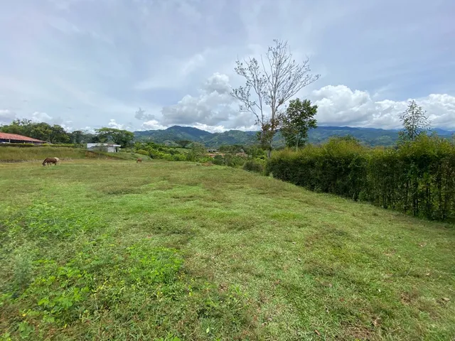 Se vende lote Viterbo Caldas - Foto 2
