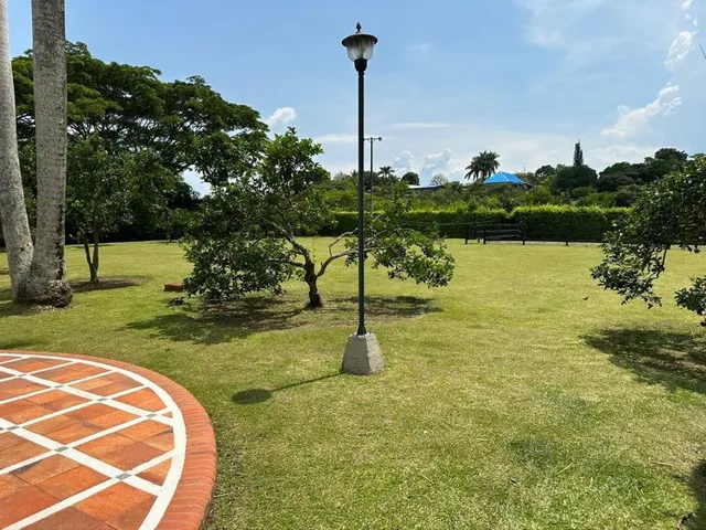 Se Vende Finca, Cerritos, Pereira - Foto 13