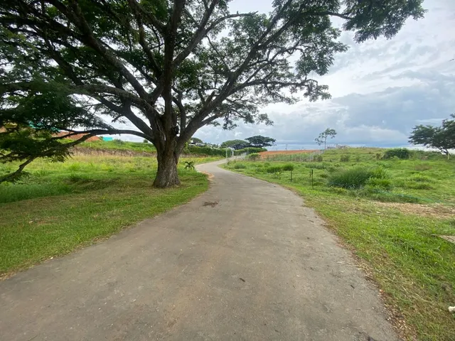 SE VENDE LOTE, PEREIRA, CERRITOS - Foto 16
