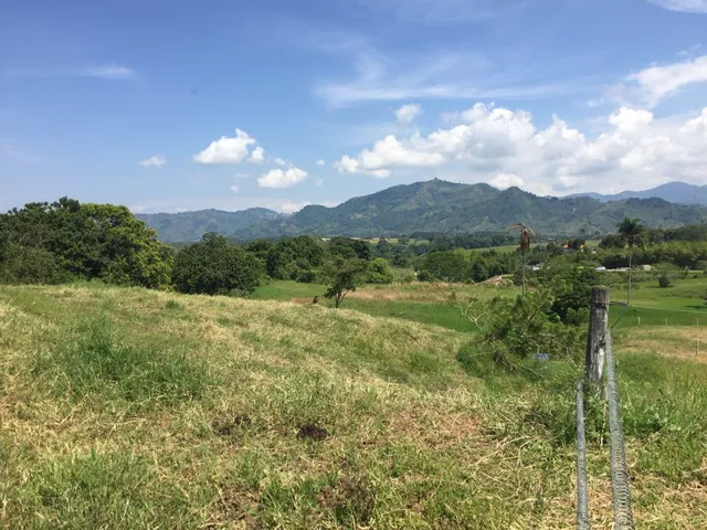 Se vende lote campestre, Pereira,Cerritos - Foto 8