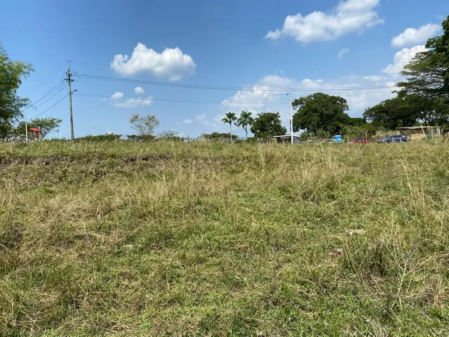 Se vende Lote, campestre, Pereira, Cerritos. - Foto 14