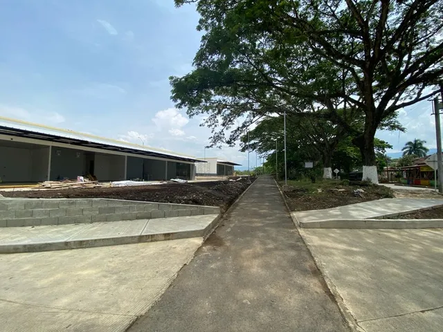 Se vende Lote, Viterbo, Caldas - Foto 14