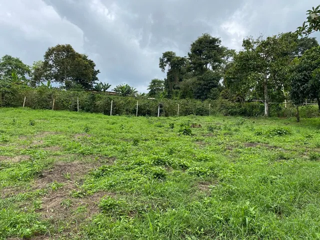 Se vende Lote Campestre, Pereira, Mundo Nuevo - Foto 12