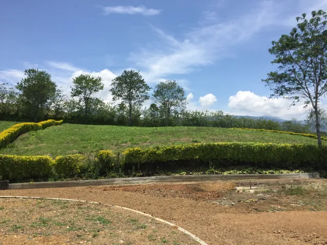 Se vende Lote en Viterbo, Caldas - Foto 10