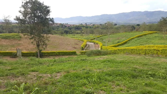 Se vende Lote en Viterbo, Caldas - Foto 13