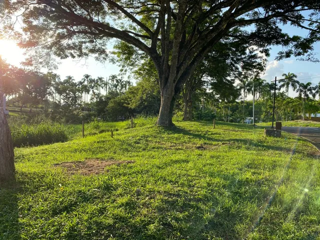 Se vende Lotes. Pereira. Cerritos - Foto 4