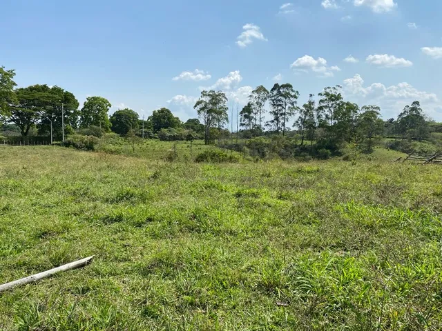 Se vende Lote, campestre, Pereira, Cerritos. - Foto 7