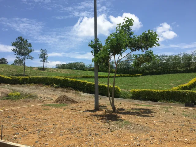 Se vende Lote en Viterbo, Caldas - Foto 4