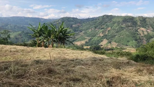 Se Vende Lote Manizales, el agrado - Foto 5