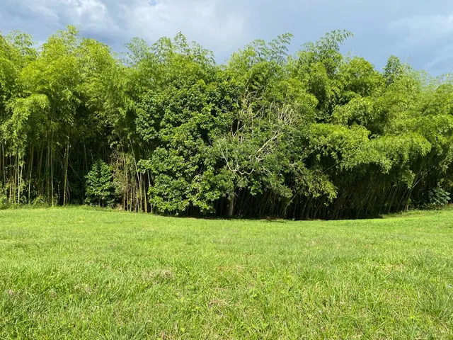 SE VENDE LOTE CAMPESTRE, PEREIRA, CERRITOS MALABAR - Foto 25