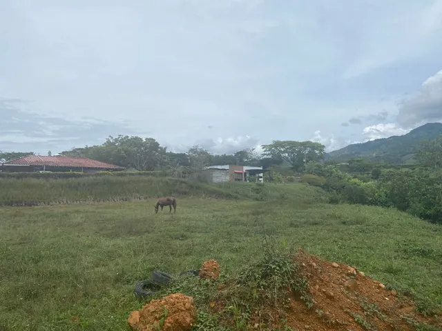 Se vende lote Viterbo Caldas - Foto 8