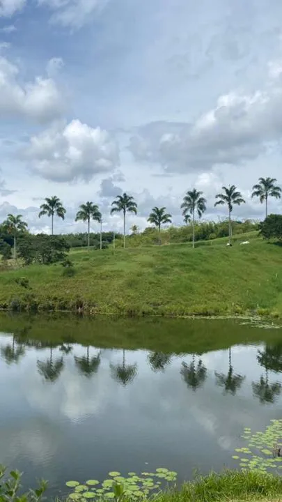 Se vende lote campestre, Pereira,Cerritos - Foto 3