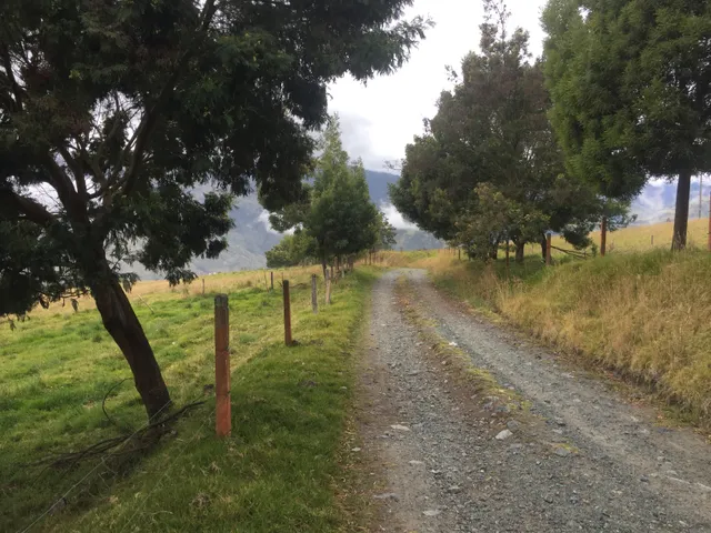 Se vende finca agrícola ganadera, Valle Del Cauca. Barragán - Foto 6