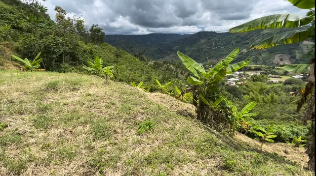Se Vende Lote Manizales, el agrado - Foto 8